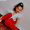 ziwarinshahab0