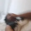 sscaieeeeeee
