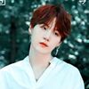 btsarmy49261