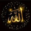 user5618530194471