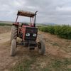 duranufuk01