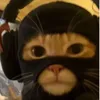 lhuizvictorpitero