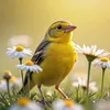 arham.ali3889