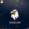 exp_esport1