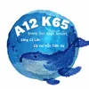 a12thtpquangoai