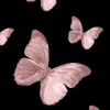 noor672907