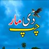 wasim_writes