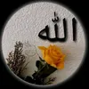 saabafridi3