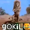 hanzz_5heh