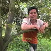 Hồ sâu