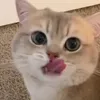 lisaaaaaa_aaaa7