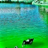 pingan1291