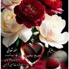 user8088874933915