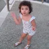 aurora.cerraa3