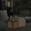 xayc_no_kvetochka