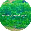 user63528655981788
