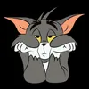 rahel.taqtaqy13