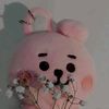 KOOKIE