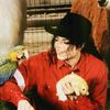 potato_8936