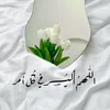 ph_nour.muhammed