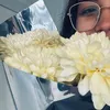sofi.retamar0