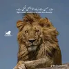 syednaveedshah226