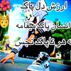 masoud.masoudkaing