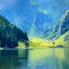 Sabia _Switzerland