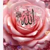 rehanh828