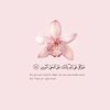 softqasaed_13
