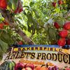 arlet produce