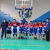 u13.vse