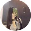 sidra.abdullah673