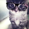 zaria_226