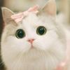 zobia_nawab45