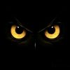 》ℕ𝕐𝔸ℕ《 ♎🦁