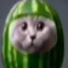 hfhfhfhf771