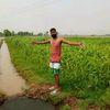 rojar.morrojar