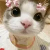 mikaaiilaaa