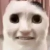 thapcamduloai9