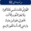 user8209250041382