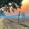 punjab_editer_1