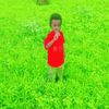user97190359716604