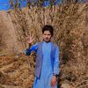 faridelham2