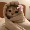sondsahmed