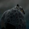 henok_4747