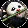 viralpetmoments6