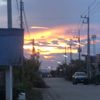 mayxi37