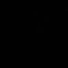 z1433895