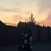 jusavxzz
